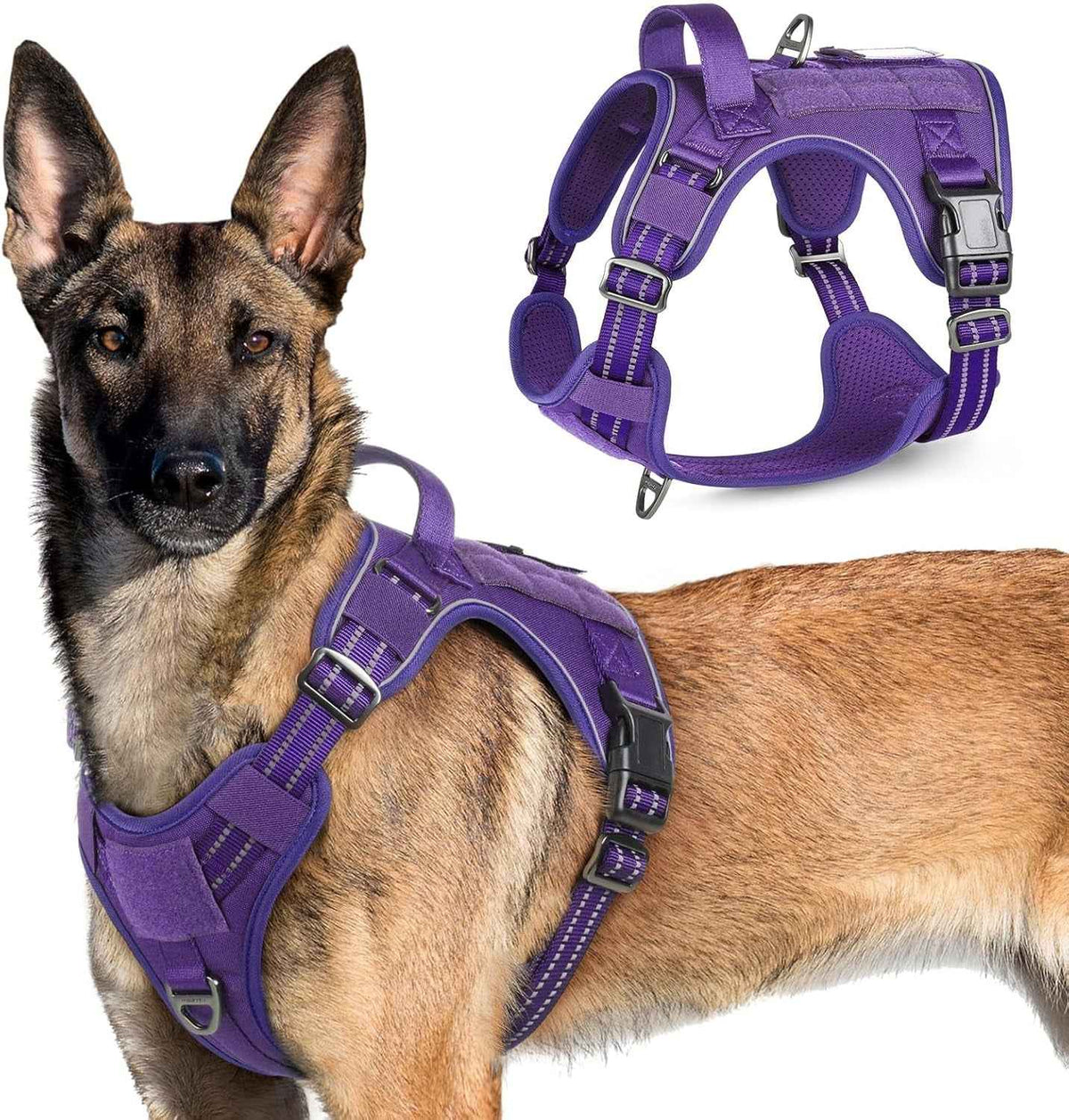 Adjustable MOLLE Harness Vest – Large Breeds, No-Pull