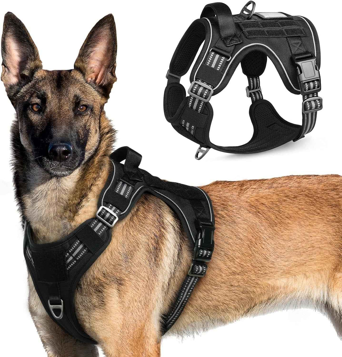 Adjustable MOLLE Harness Vest – Large Breeds, No-Pull