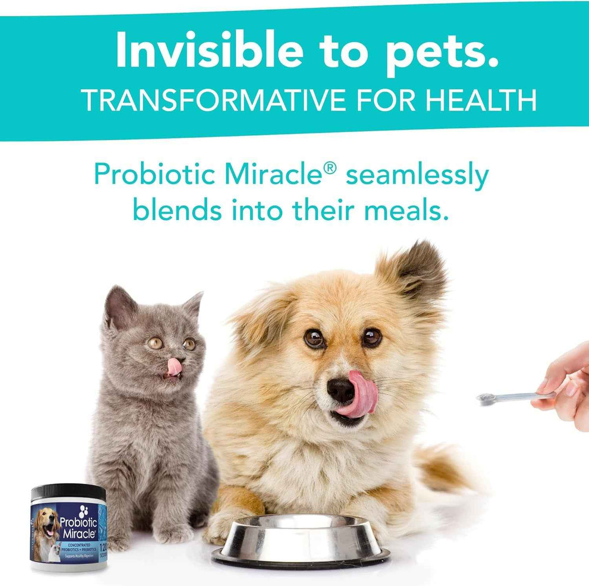 Dog Probiotics Powder 360 Scoops Digestive & Immune Support