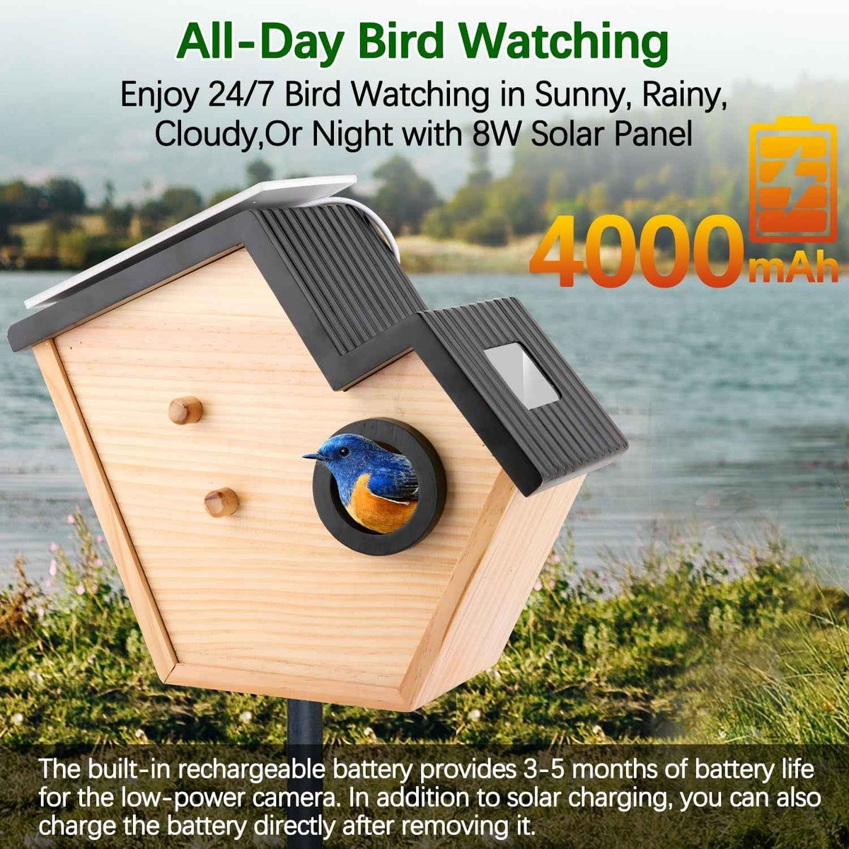 Smart Bird House Camera Solar WiFi HD 32GB