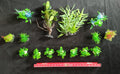 Premium Artificial Aquarium Plant Package for Fish Tank. NATURE AT ITS BEST