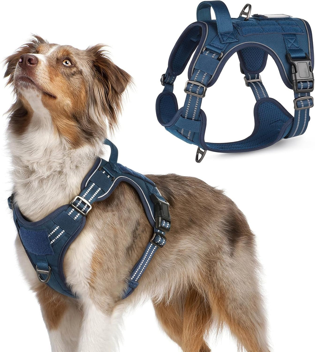 Adjustable MOLLE Harness Vest – Large Breeds, No-Pull