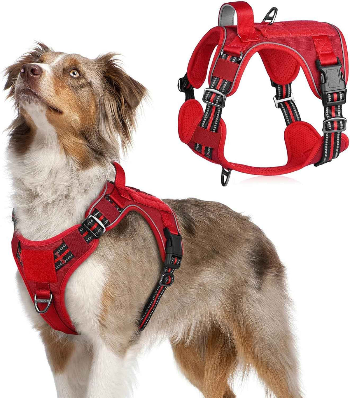 Adjustable MOLLE Harness Vest – Large Breeds, No-Pull