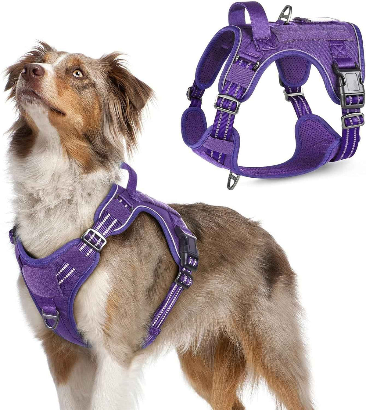 Adjustable MOLLE Harness Vest – Large Breeds, No-Pull