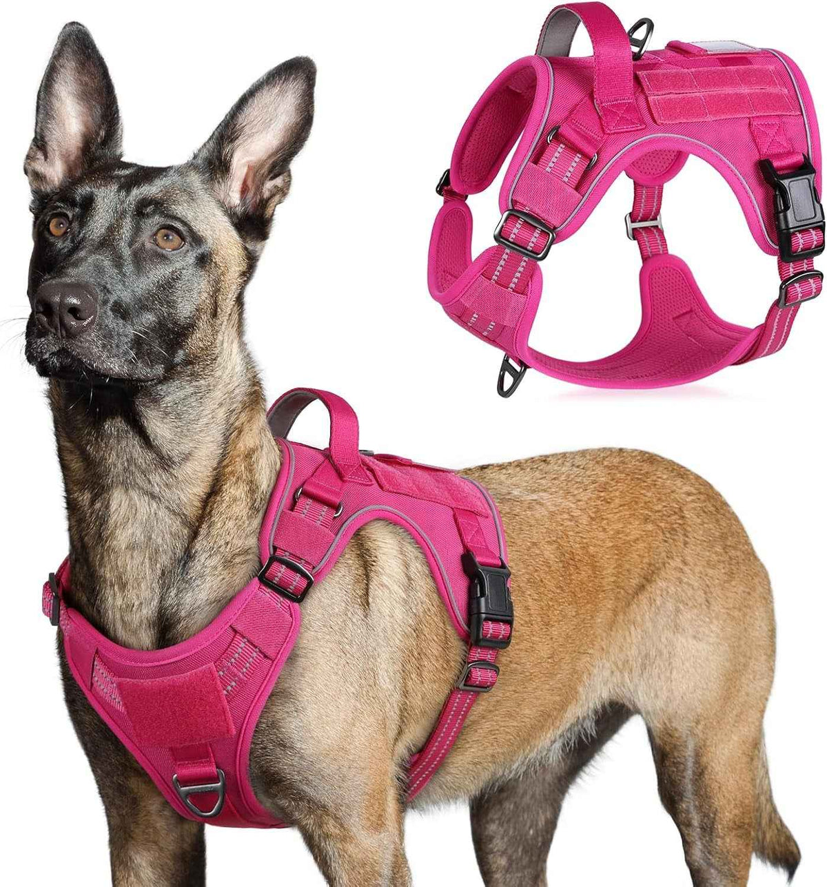 Adjustable MOLLE Harness Vest – Large Breeds, No-Pull