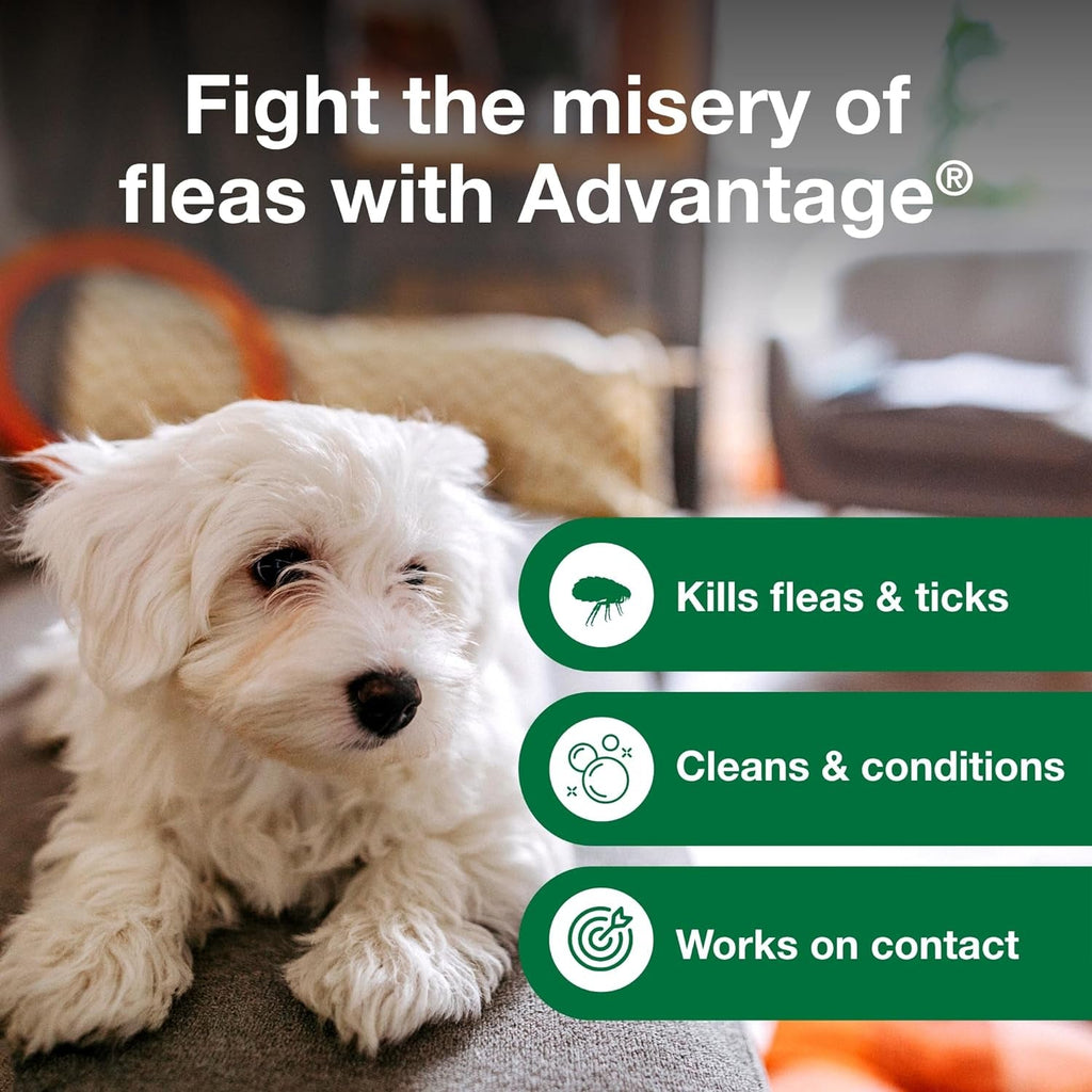 12 Oz Flea & Tick Shampoo for Puppies & Adult Dogs .