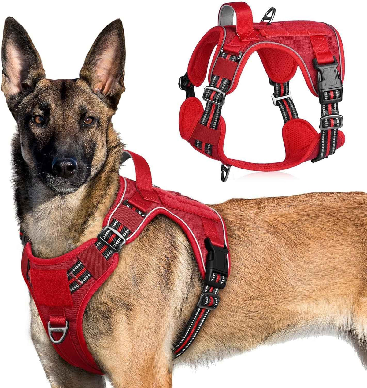 Adjustable MOLLE Harness Vest – Large Breeds, No-Pull