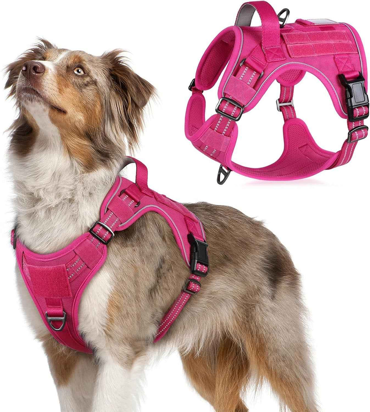 Adjustable MOLLE Harness Vest – Large Breeds, No-Pull