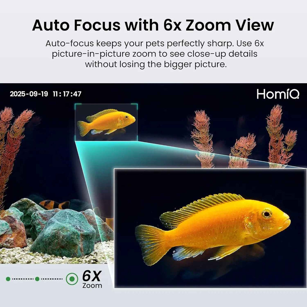 2K Aquarium & Terrarium Camera – Night Vision, 3MP
