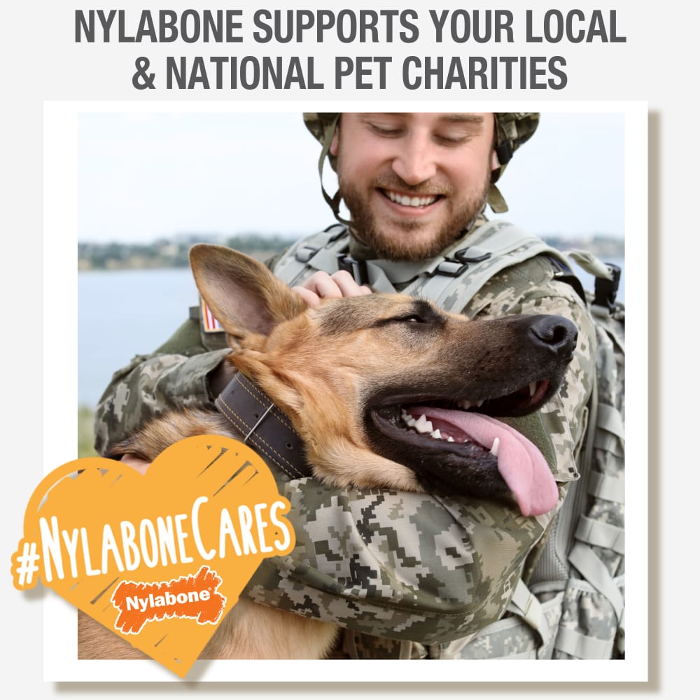 Nylabone Healthy Edibles Chicken Dog Chew Treats (6.7oz)