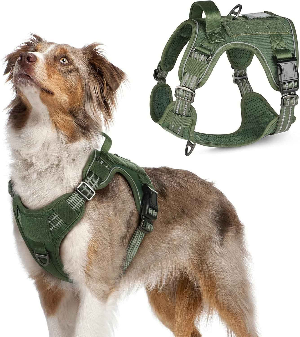 Adjustable MOLLE Harness Vest – Large Breeds, No-Pull