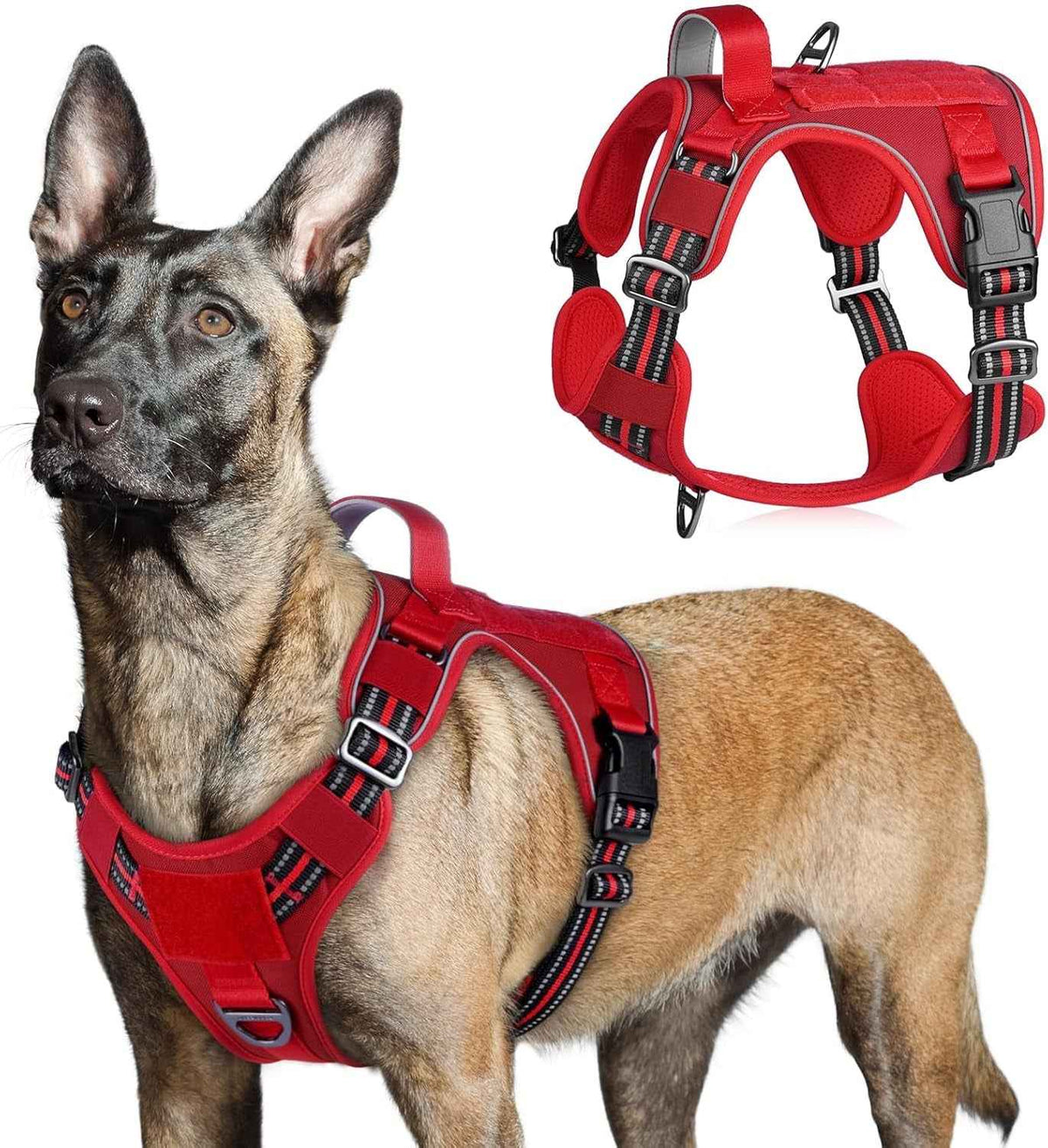 Adjustable MOLLE Harness Vest – Large Breeds, No-Pull