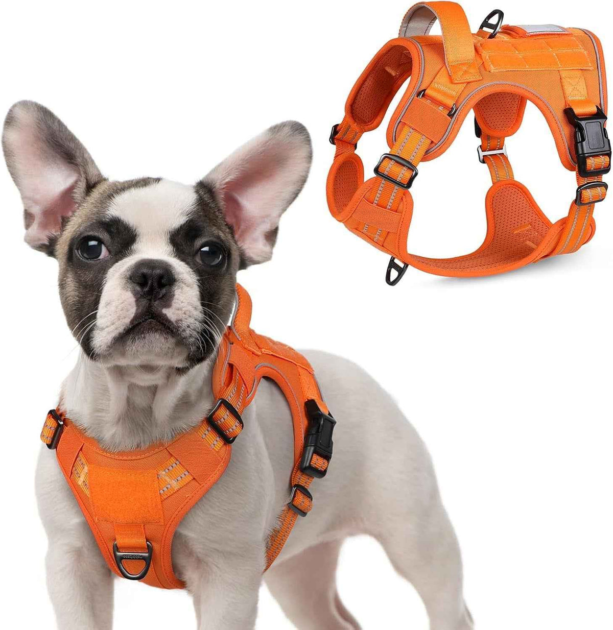 Adjustable MOLLE Harness Vest – Large Breeds, No-Pull