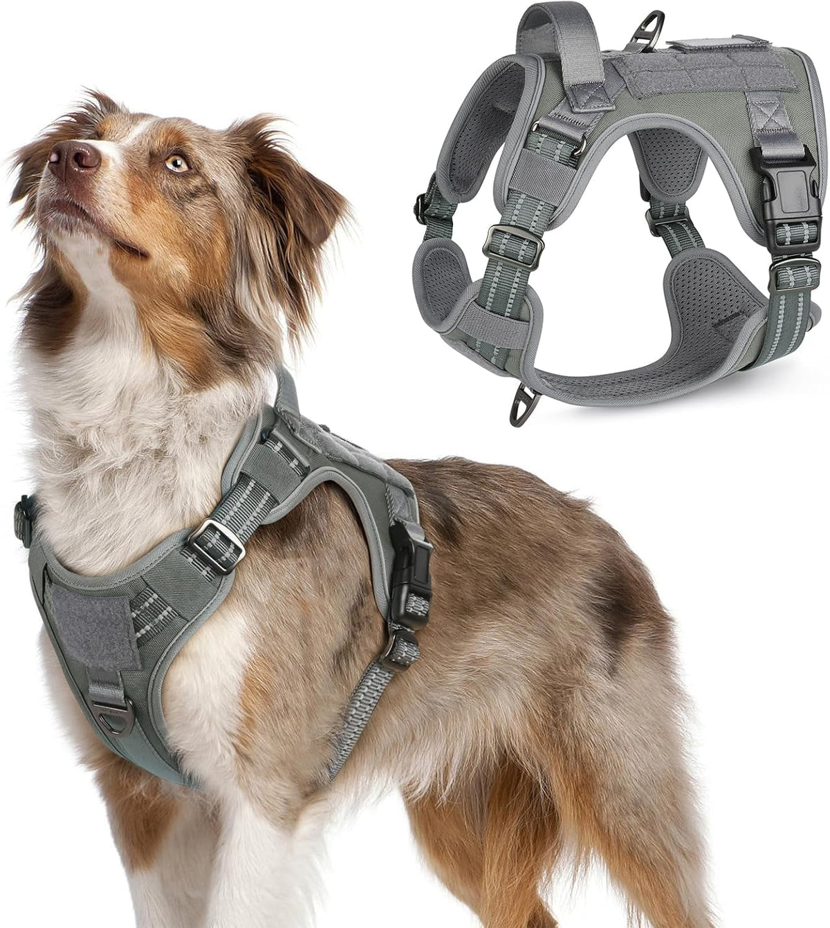 Adjustable MOLLE Harness Vest – Large Breeds, No-Pull