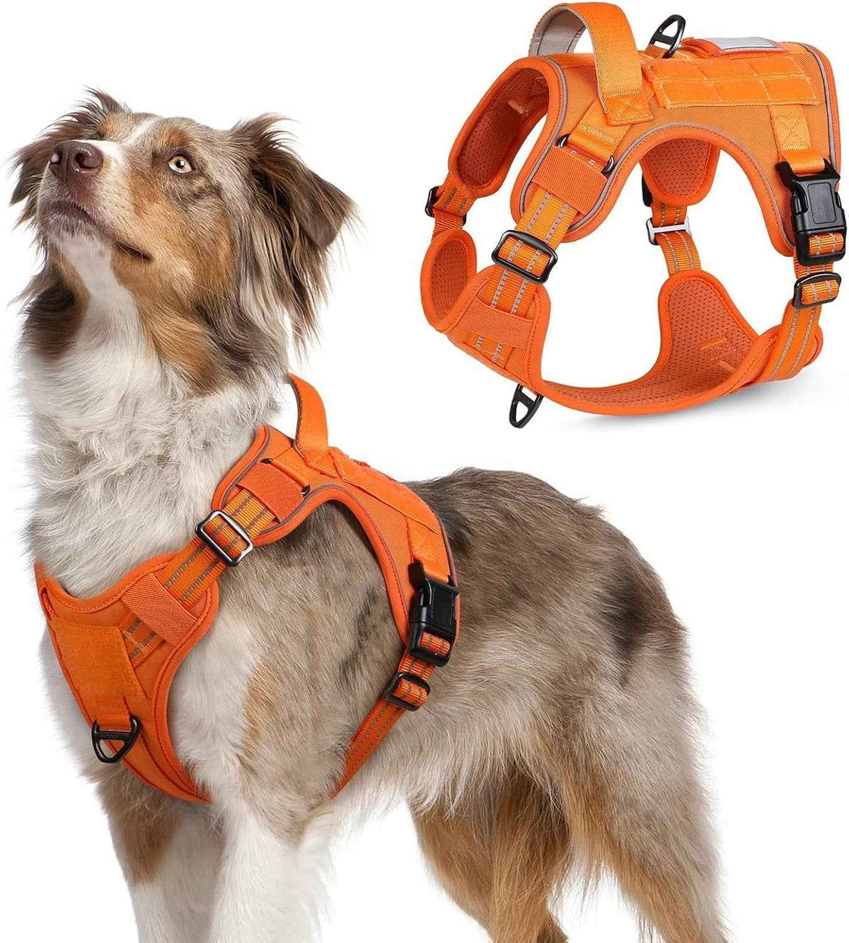 Adjustable MOLLE Harness Vest – Large Breeds, No-Pull