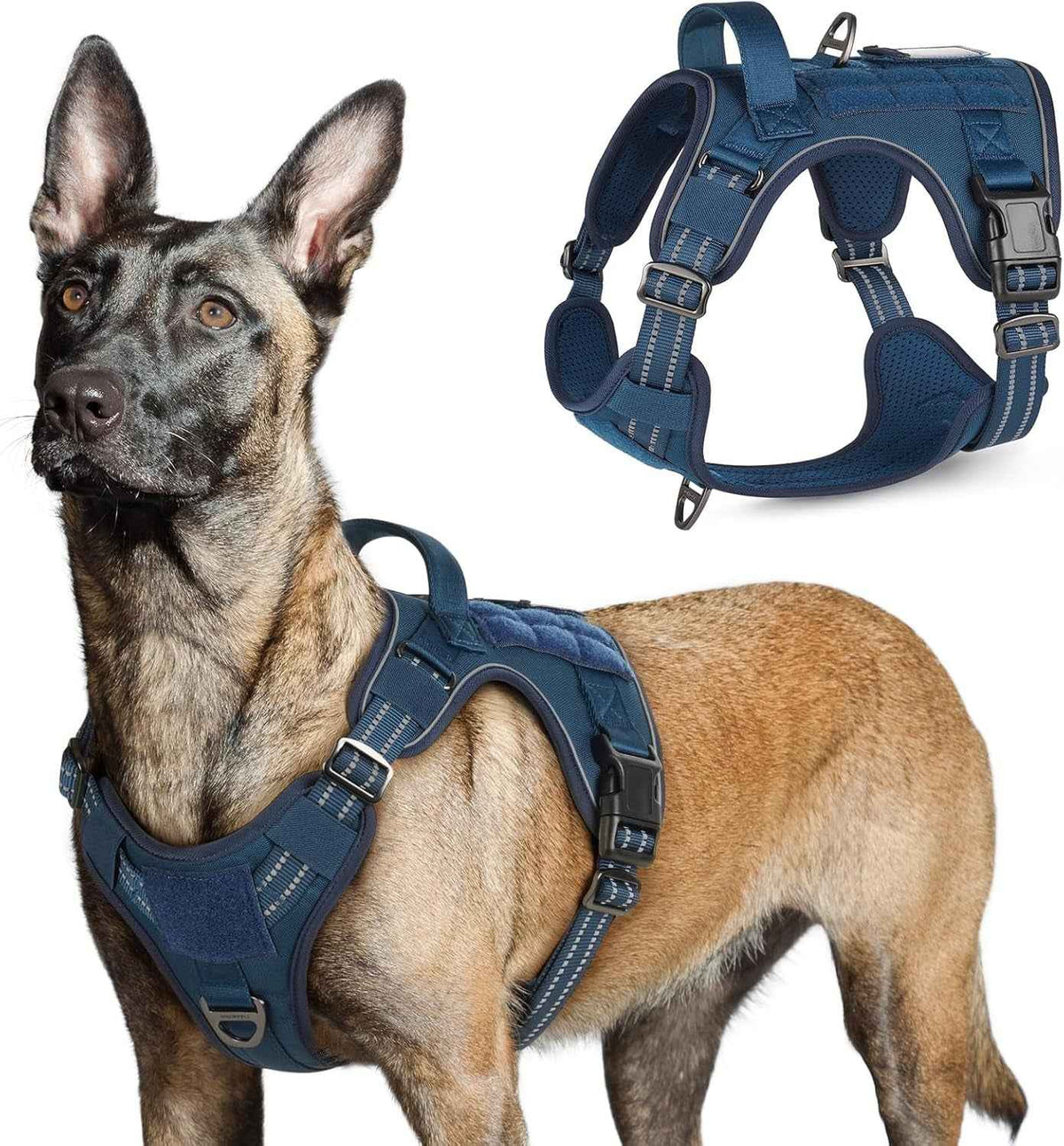 Adjustable MOLLE Harness Vest – Large Breeds, No-Pull