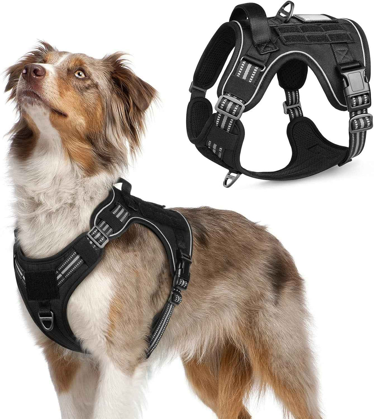 Adjustable MOLLE Harness Vest – Large Breeds, No-Pull