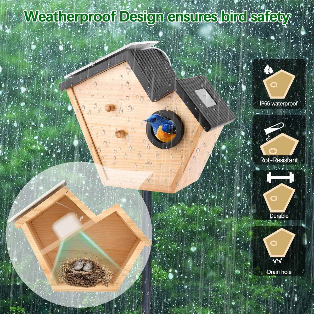 Smart Bird House Camera Solar WiFi HD 32GB