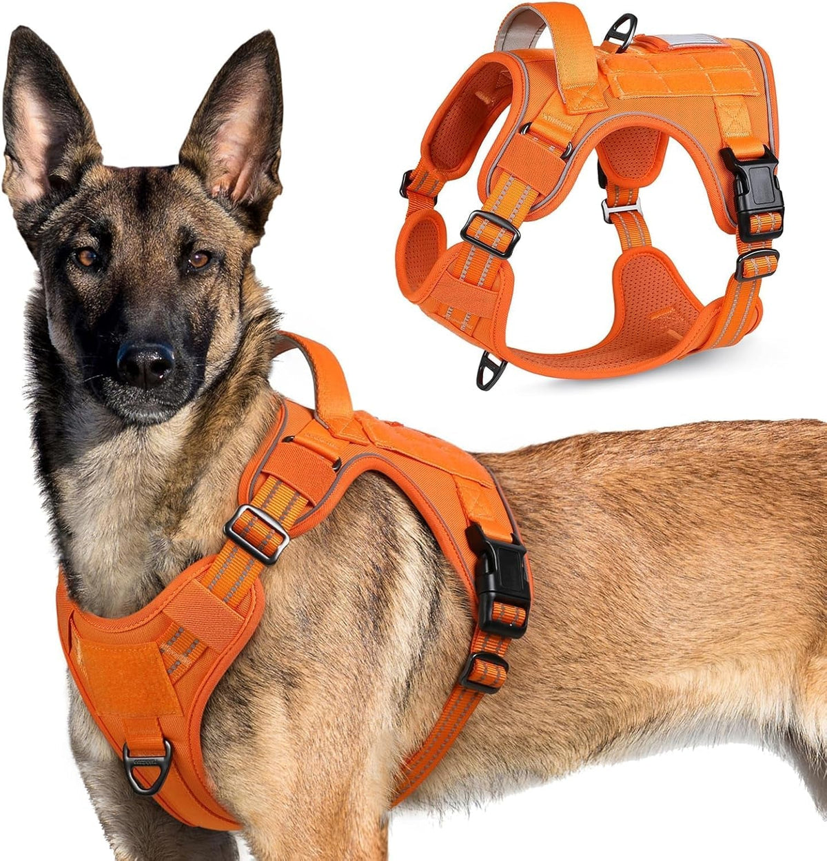 Adjustable MOLLE Harness Vest – Large Breeds, No-Pull