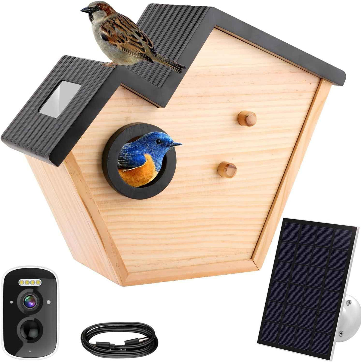 Smart Bird House Camera Solar WiFi HD 32GB