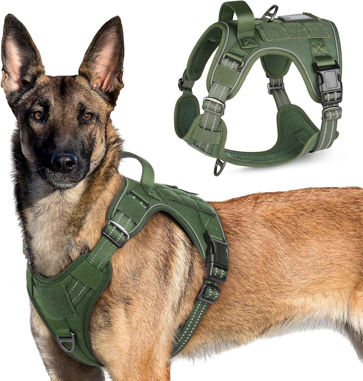 Adjustable MOLLE Harness Vest – Large Breeds, No-Pull
