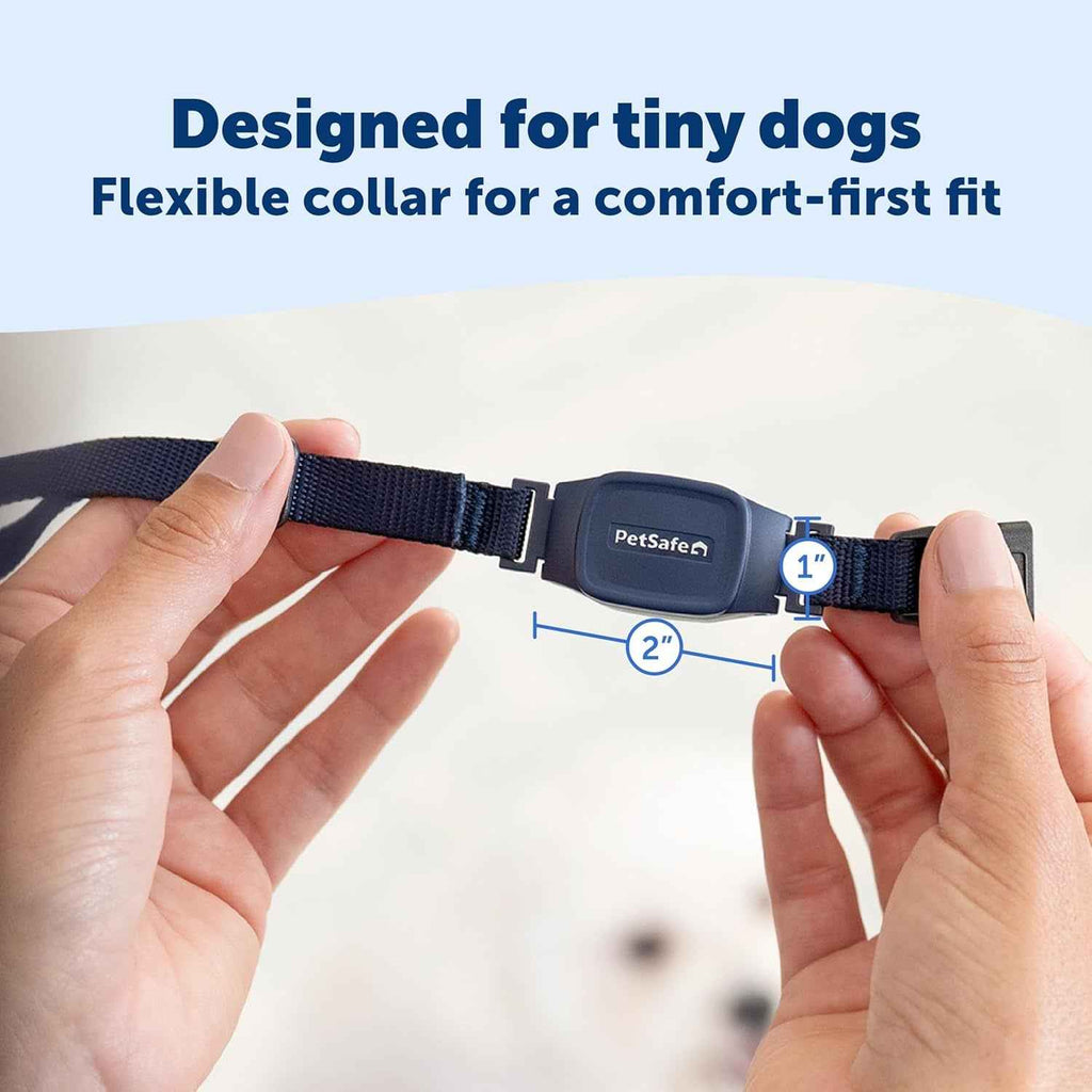 PetSafe NanoBark 2.0 Bark Collar for Small Dogs