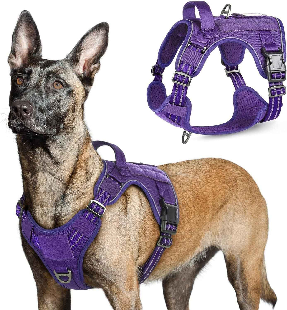 Adjustable MOLLE Harness Vest – Large Breeds, No-Pull