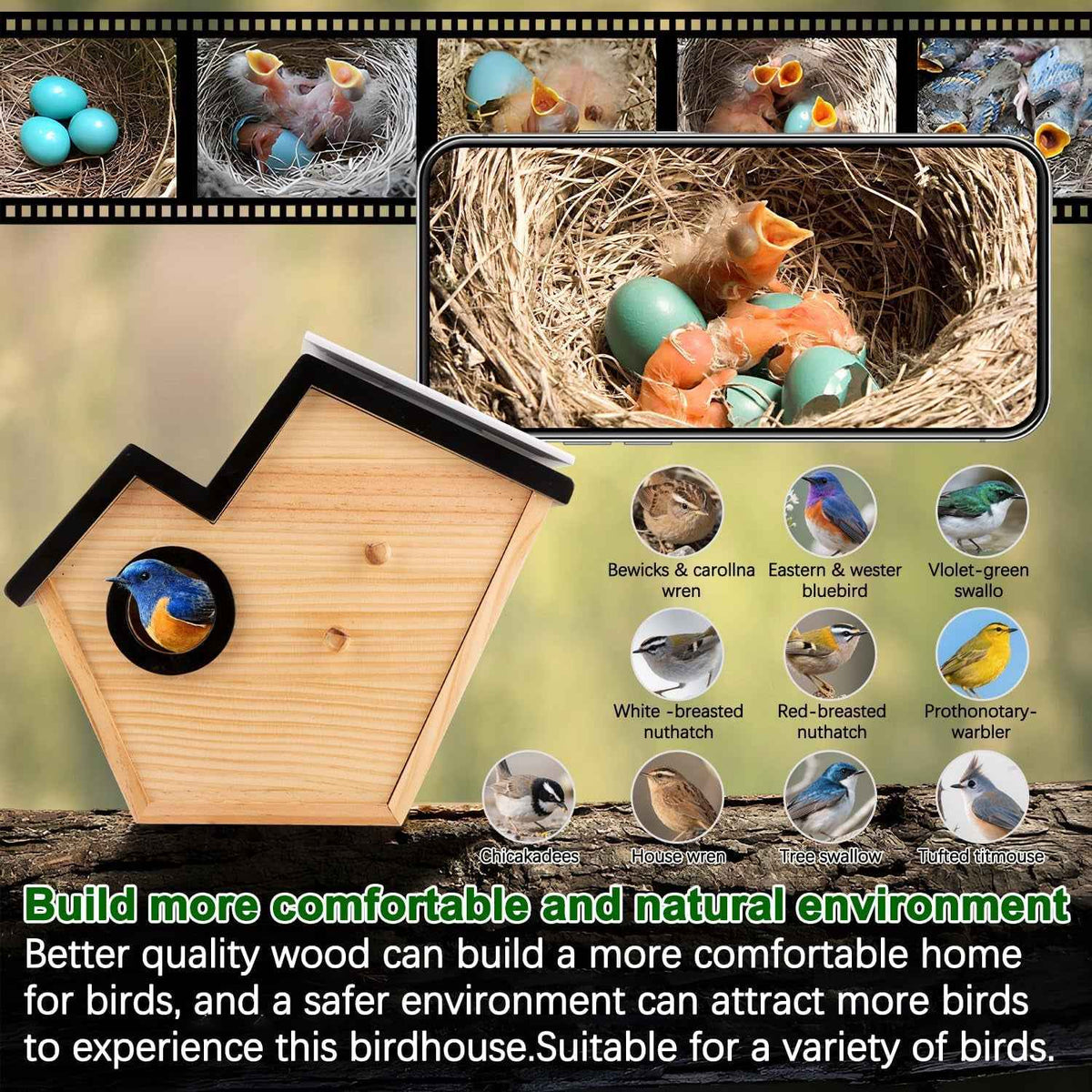 Smart Bird House Camera Solar WiFi HD 32GB