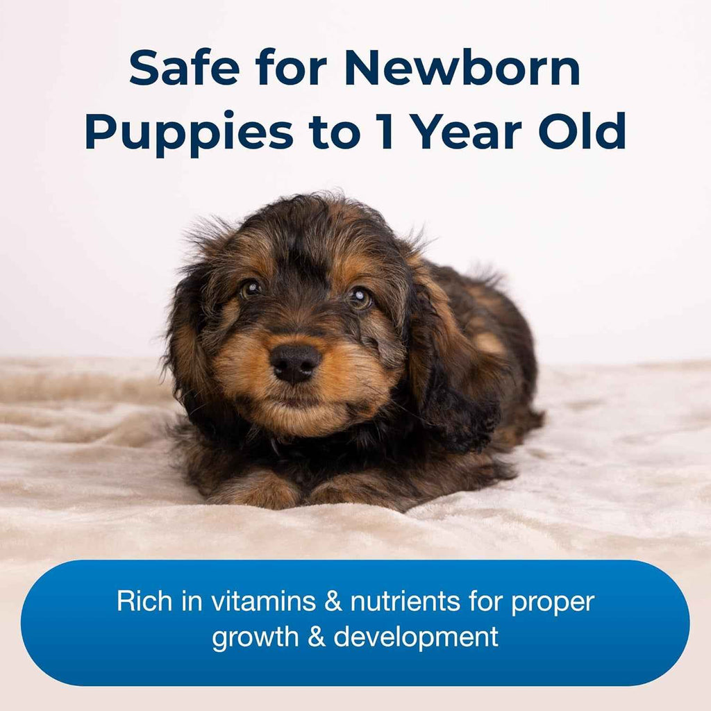 Esbilac Puppy Milk Replacer Powder 12oz – Prebiotics