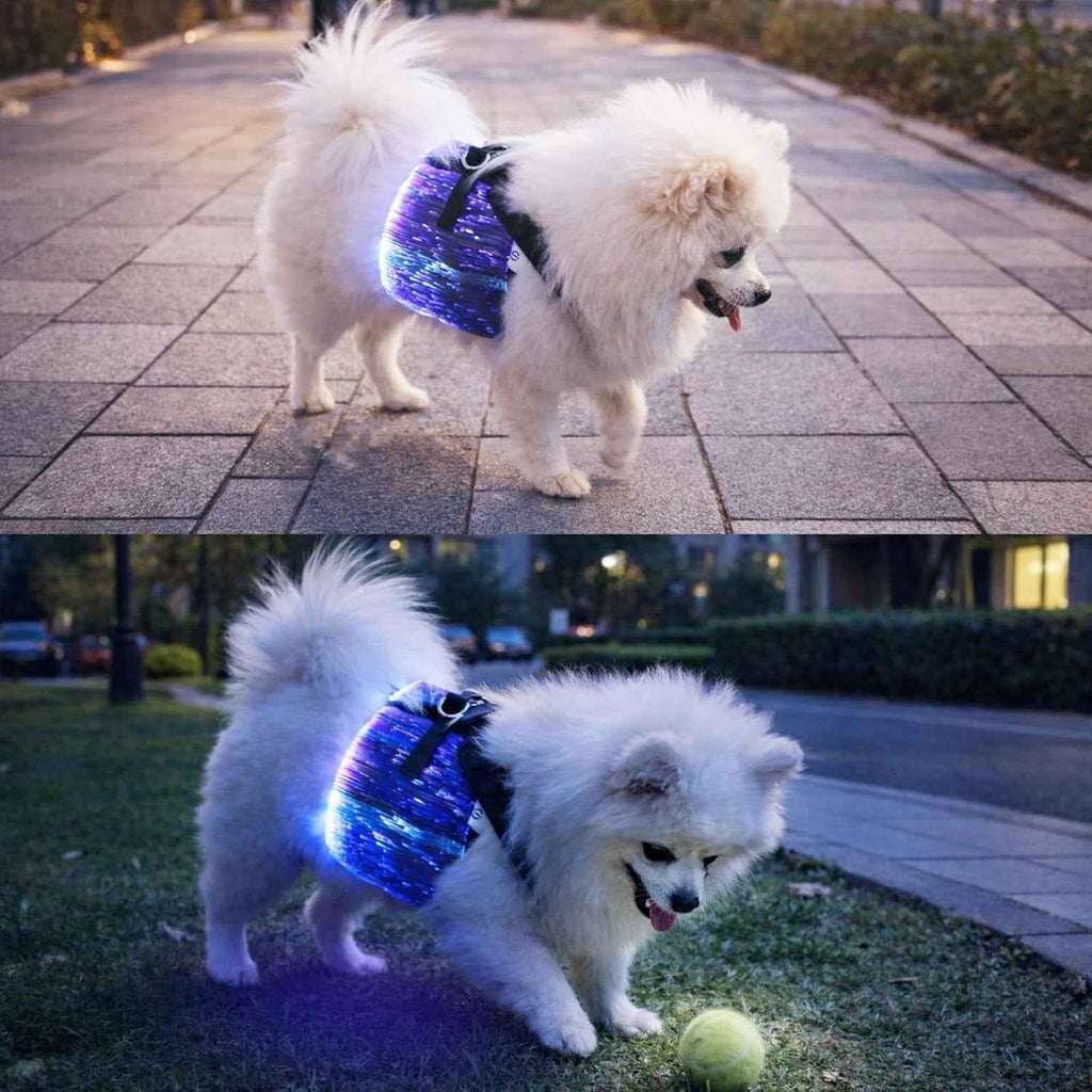 LED Fiber-Optic Dog Harness – Remote Control, Small