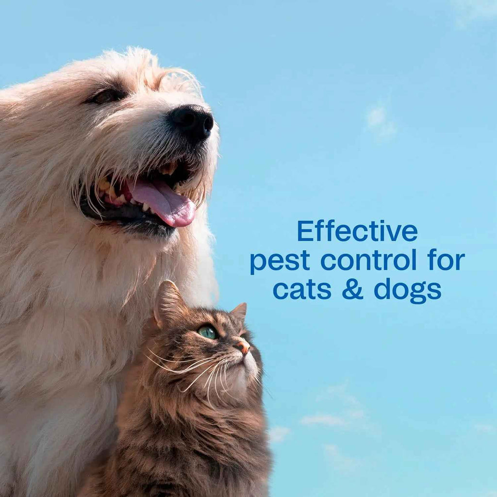 Adams Plus Flea & Tick Shampoo with Precor IGR, 12 oz