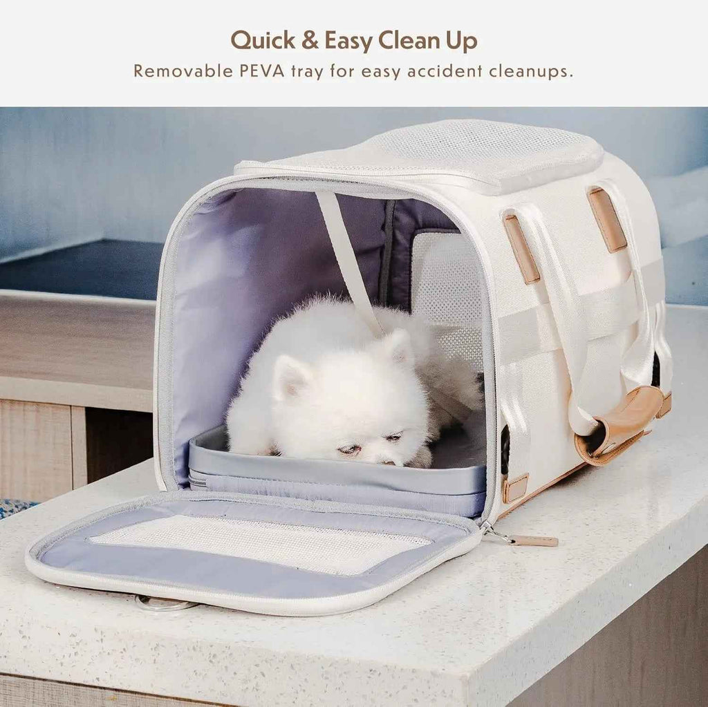 Airline-Approved Pet Carrier for Small Dogs & Cats