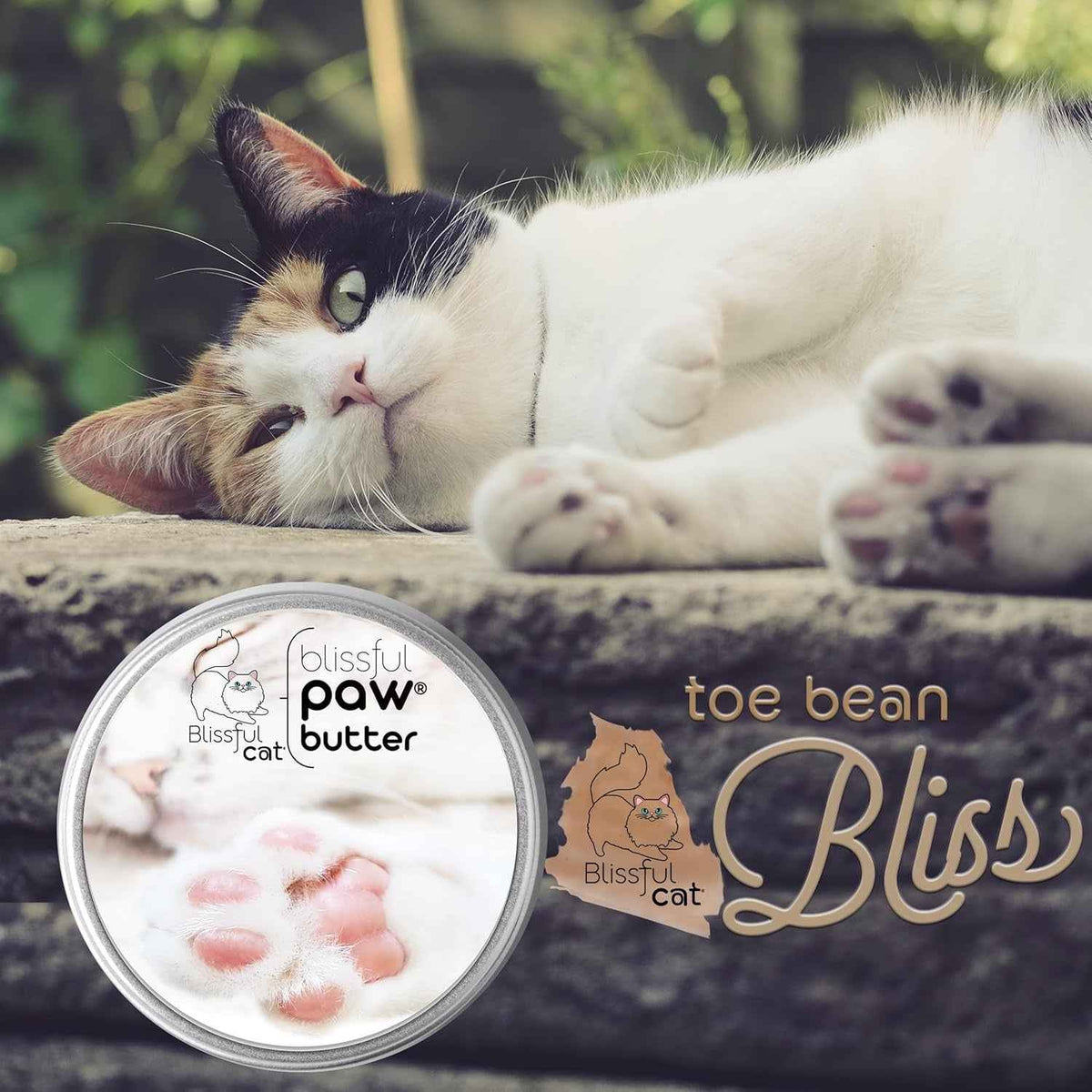Lick-Safe Cat Paw Butter Balm for Dry Cracked Pads 1oz