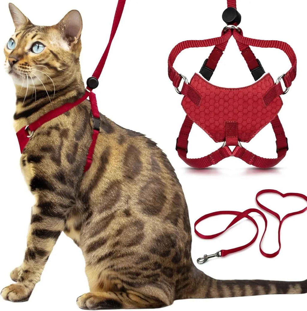 Cat Escape-Proof Harness & Leash Set – S–XL, Vegan Leather