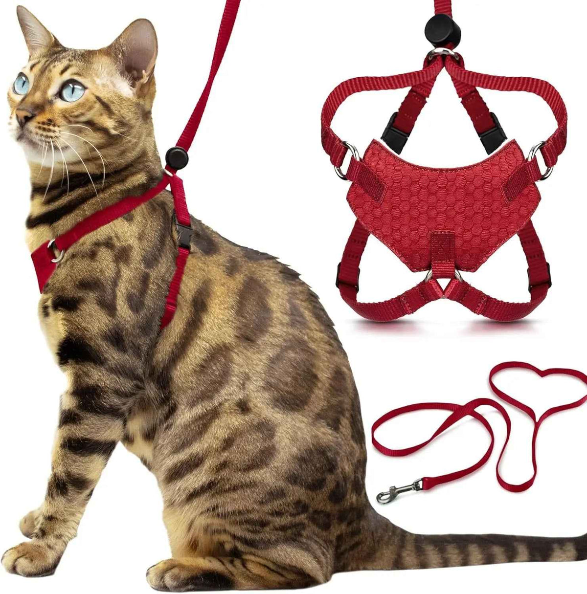Cat Escape-Proof Harness & Leash Set – S–XL, Vegan Leather