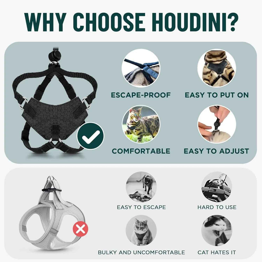 Cat Escape-Proof Harness & Leash Set – S–XL, Vegan Leather