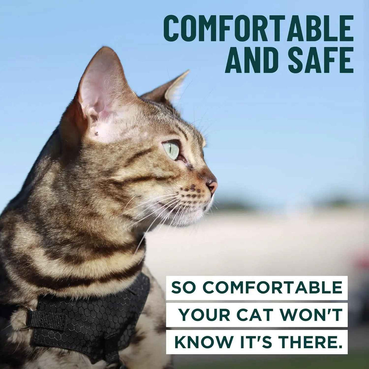 Cat Escape-Proof Harness & Leash Set – S–XL, Vegan Leather