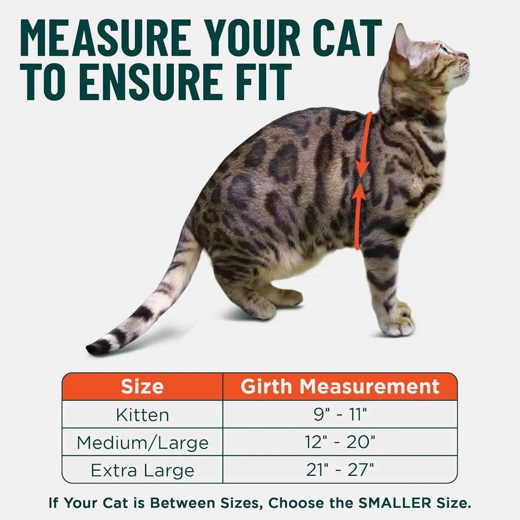 Cat Escape-Proof Harness & Leash Set – S–XL, Vegan Leather