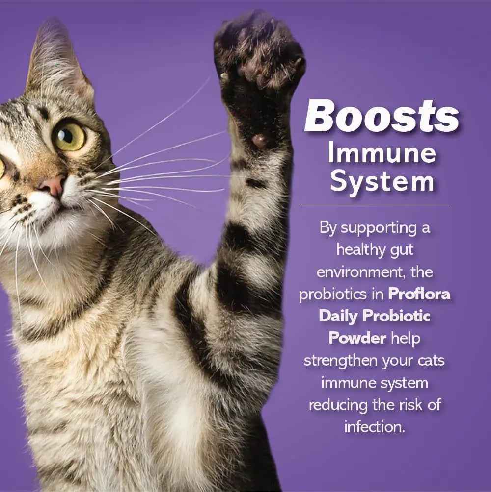 Cat Probiotics Powder Digestive & Immune Support 30 Packets