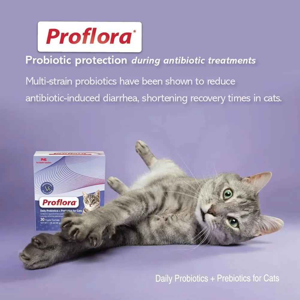 Cat Probiotics Powder Digestive & Immune Support 30 Packets