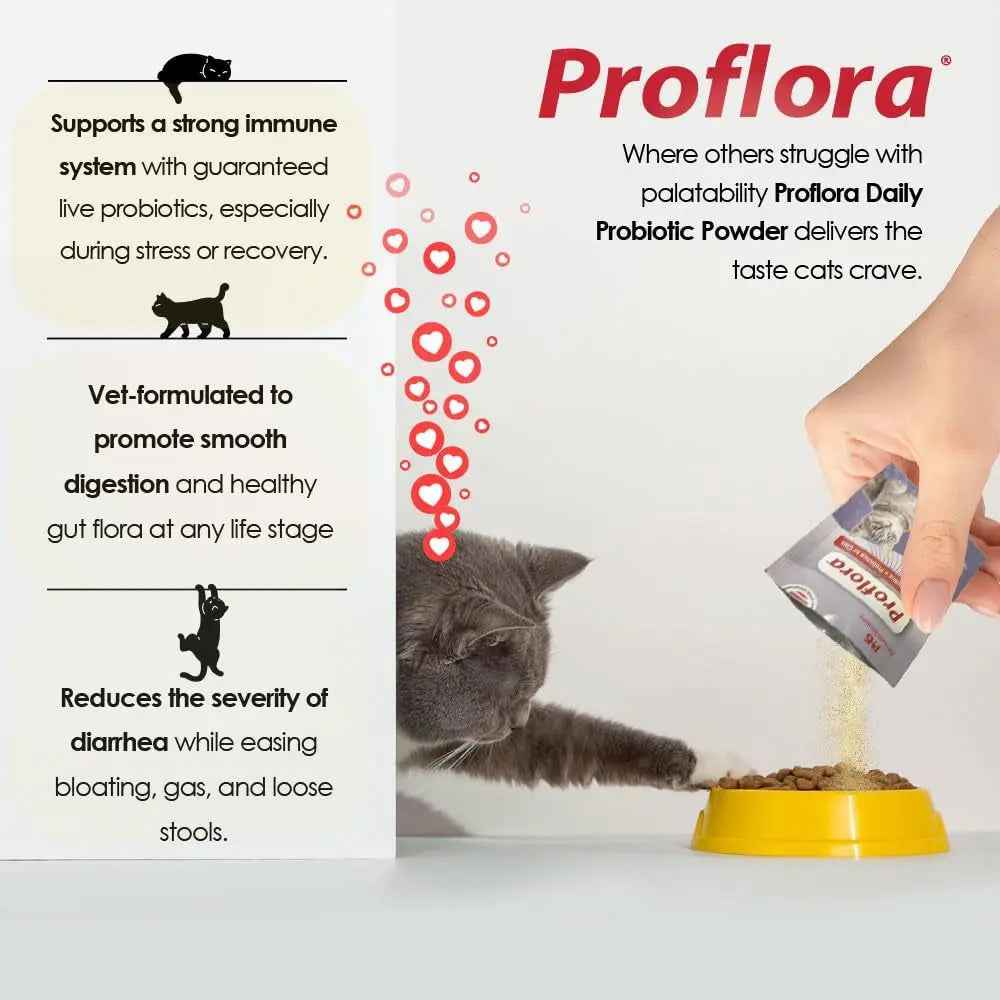 Cat Probiotics Powder Digestive & Immune Support 30 Packets