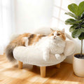 Furniture Style Cat Sofa Bed Velvet Pet Couch with Wood Legs