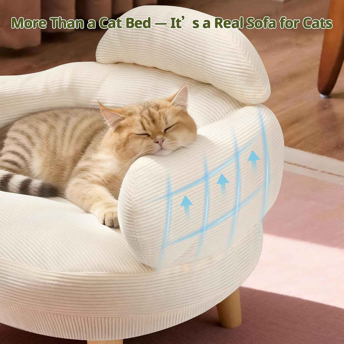 Furniture Style Cat Sofa Bed Velvet Pet Couch with Wood Legs