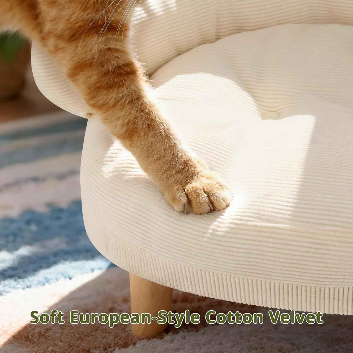 Furniture Style Cat Sofa Bed Velvet Pet Couch with Wood Legs