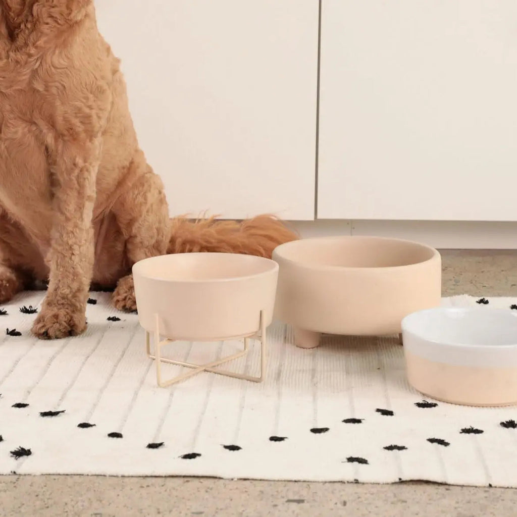 Ceramic Cat & Dog Pet Bowl, Elevated Stoneware Feeder, Dishwasher Safe