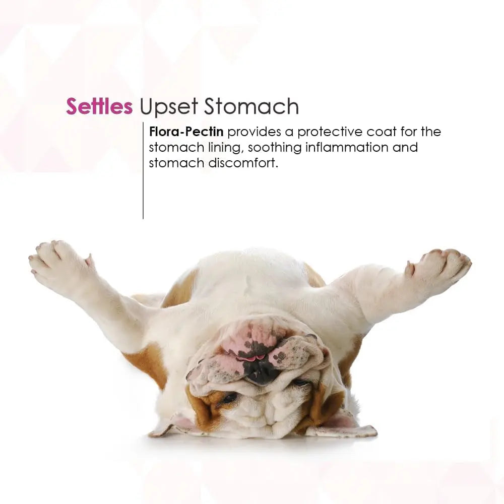 Dog Cat Anti Diarrhea Paste Probiotic Kaolin Pectin Digestive Support