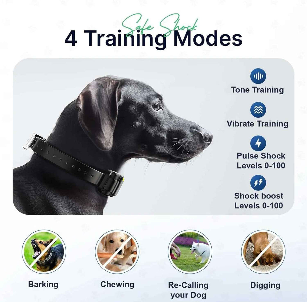 My Pet Command Training Collar – 1 Mile, 2-Dog Kit