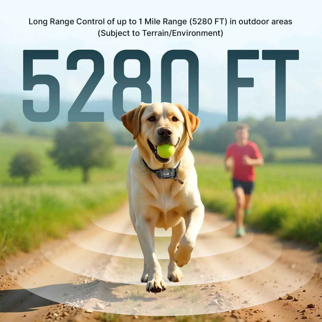 My Pet Command Training Collar – 1 Mile, 2-Dog Kit