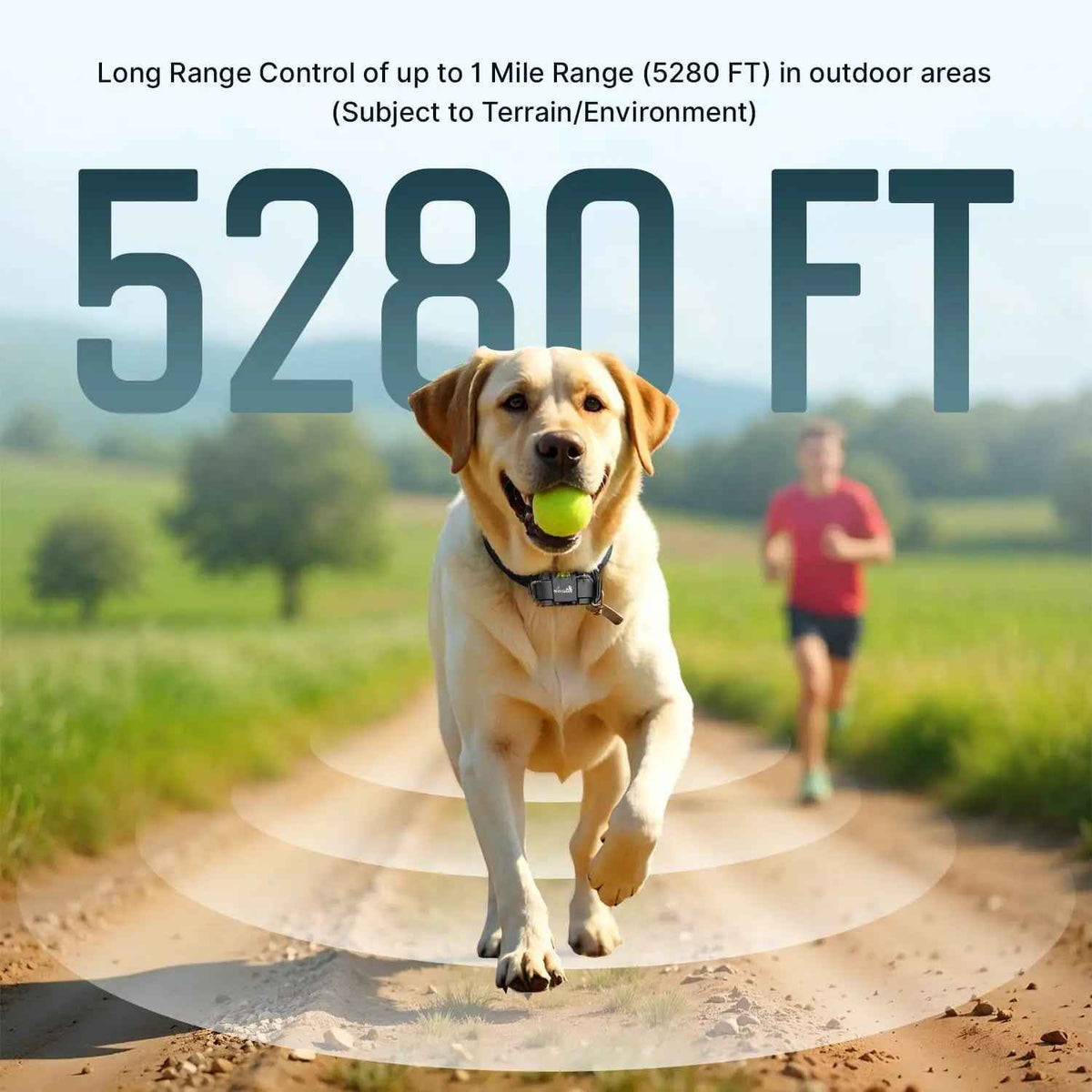 My Pet Command Training Collar – 1 Mile, 2-Dog Kit