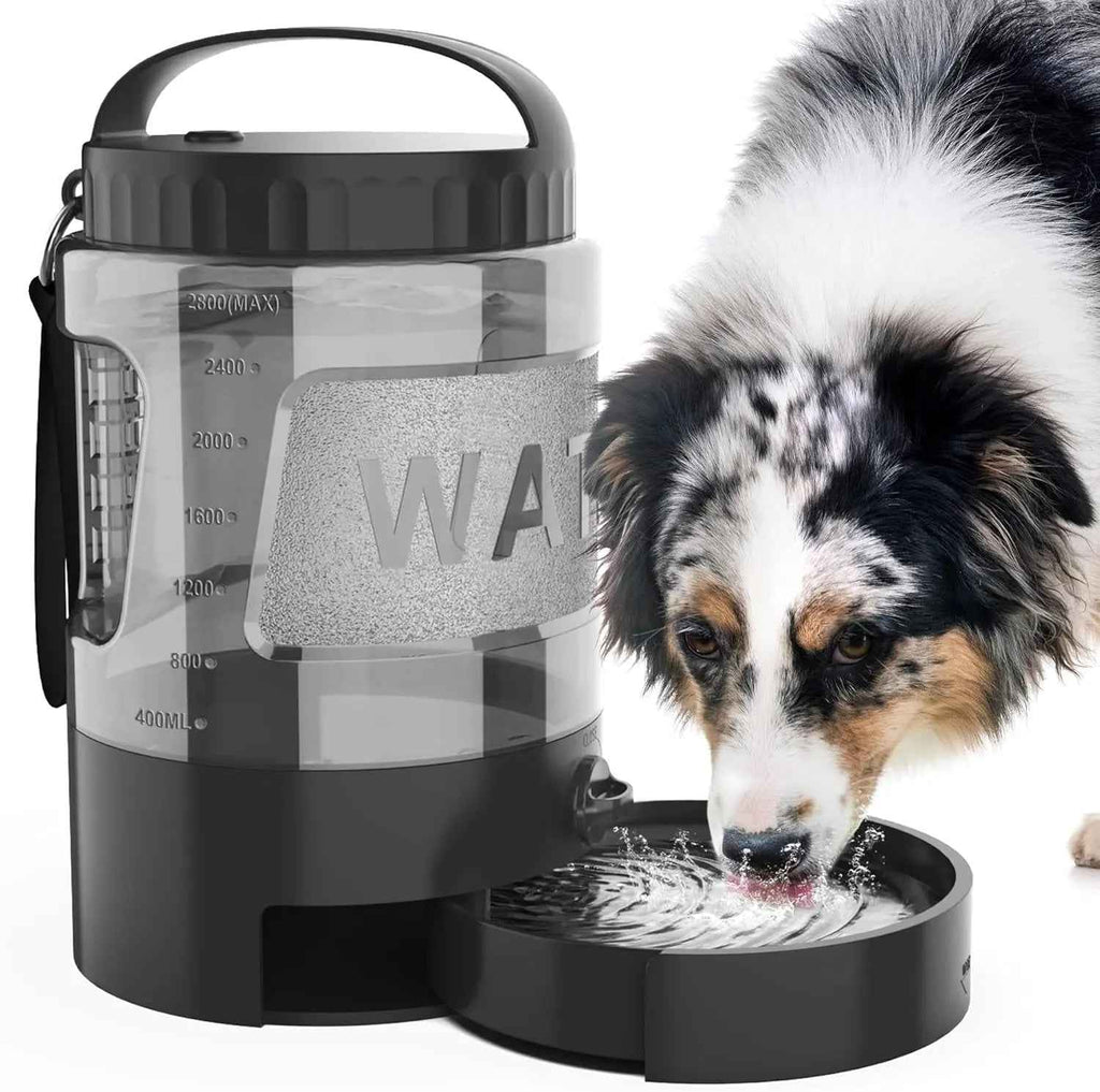 Portable Dog Travel Water Bottle with Bowl for Hiking